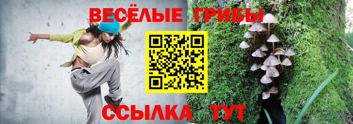 Псилоцибиновые грибы MAGIC MUSHROOMS  Галлюциногенные грибы прущие грибы  Воронеж  Вход с VPN 